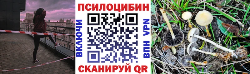 Псилоцибиновые грибы GOLDEN TEACHER  цены   Отрадная 